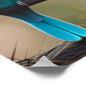 Poster Art Birds (Hoek)