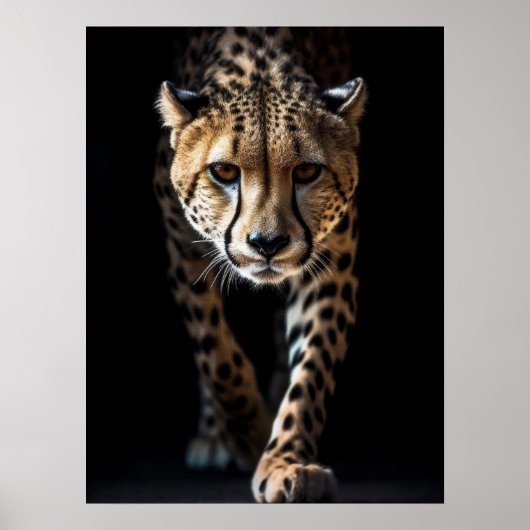 Poster Art Cheetah (Voorkant)