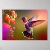 Poster Art Hummingbird (Voorkant)