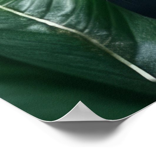 Poster Art Leopard (Hoek)