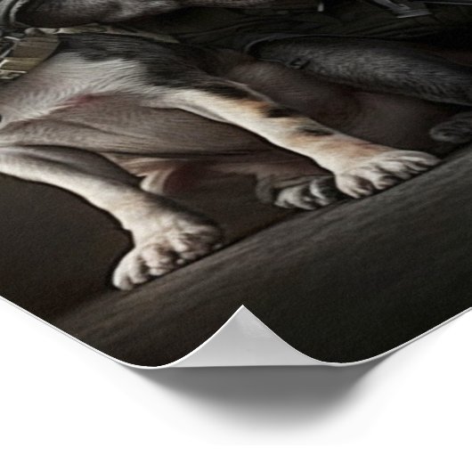 Poster Art Military Dogs (Hoek)