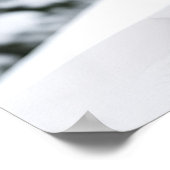 Poster Art Mountain Lion (Hoek)