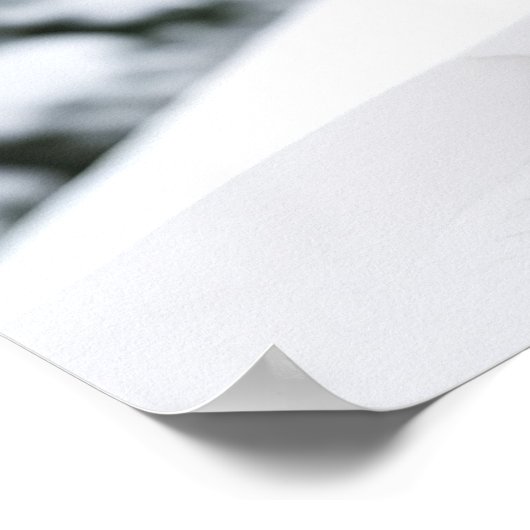 Poster Art Mountain Lion (Hoek)