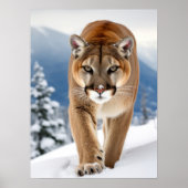 Poster Art Mountain Lion (Voorkant)