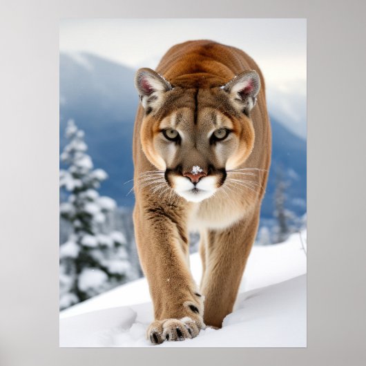 Poster Art Mountain Lion (Voorkant)