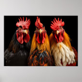 Poster Art Roosters (Voorkant)