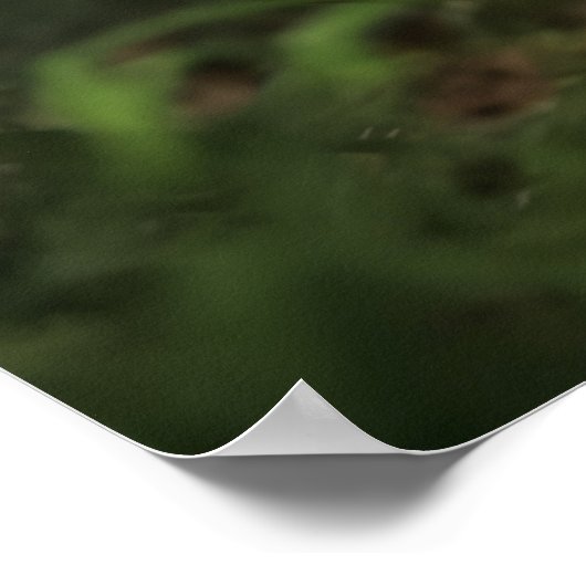 Poster Art Tiger (Hoek)