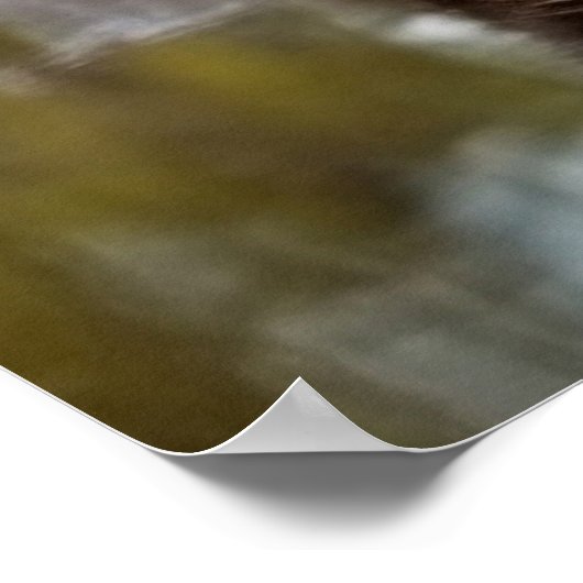 Poster Art Tiger Cub (Hoek)