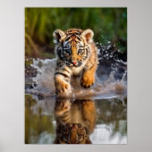 Poster Art Tiger Cub (Voorkant)