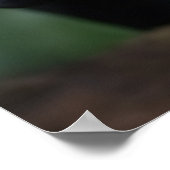 Poster Art Zwart Luipaard (Hoek)