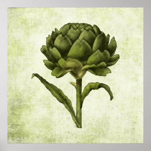 Poster Artichoke (Voorkant)