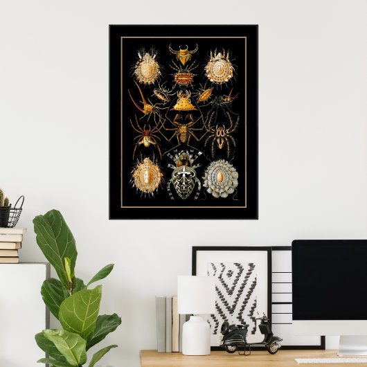 Poster artiest Ernst Haeckel Arachnida (Thuiskantoor)