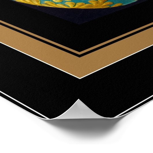 Poster  artiest Ernst Haeckel Ascidiae (Hoek)