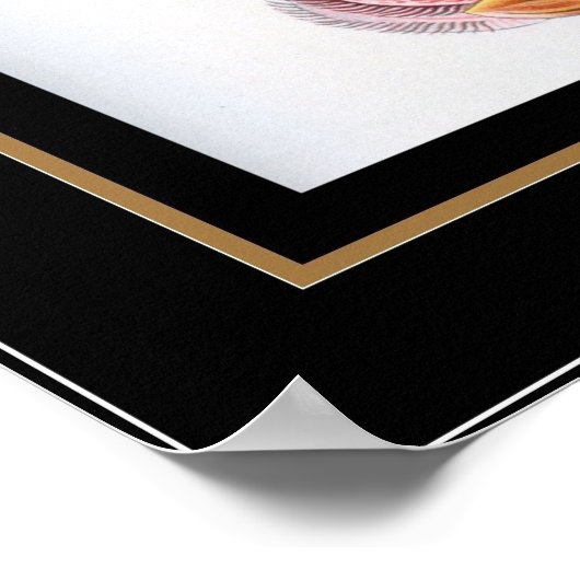 Poster  Artist Ernst Haeckel Nepenthaceae (Hoek)