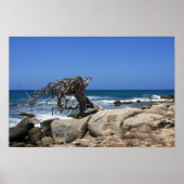 poster aruba (Voorkant)