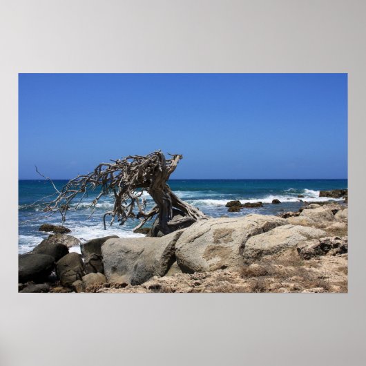 poster aruba (Voorkant)