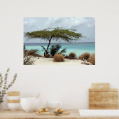 poster aruba (Keuken)