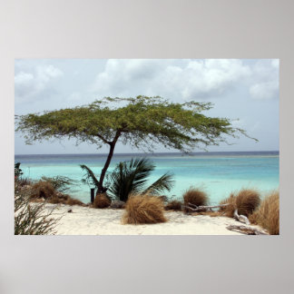 poster aruba