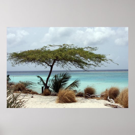 poster aruba (Voorkant)
