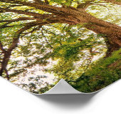 poster Arvore da Vida (Hoek)