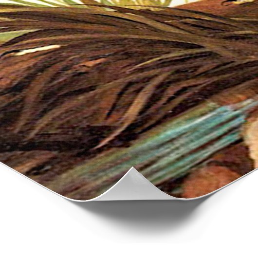  Poster Audubon (Hoek)