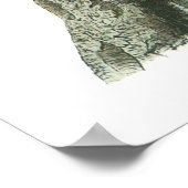 Poster Audubon Blue Jay (Hoek)