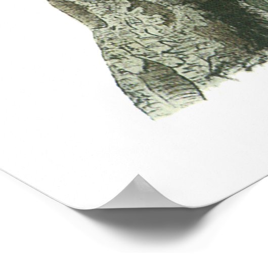 Poster Audubon Blue Jay (Hoek)