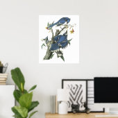 Poster Audubon Blue Jay (Thuiskantoor)