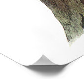 Poster Audubon Woodpecker (Hoek)