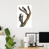Poster Audubon Woodpecker (Thuiskantoor)