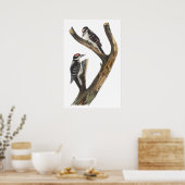 Poster Audubon Woodpecker (Keuken)