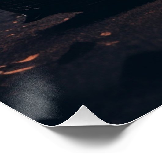 Poster Auto-reeks 1-6 (Hoek)