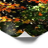 POSTER AUTUMNS GLORY (Hoek)