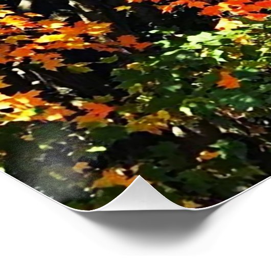 POSTER AUTUMNS GLORY (Hoek)