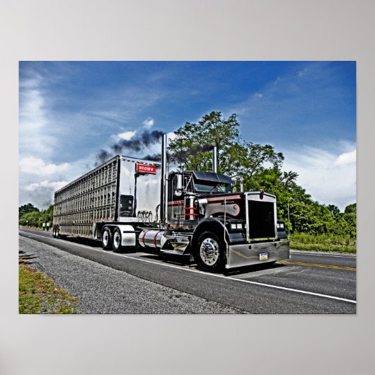 Poster B-model van bruin (Voorkant)