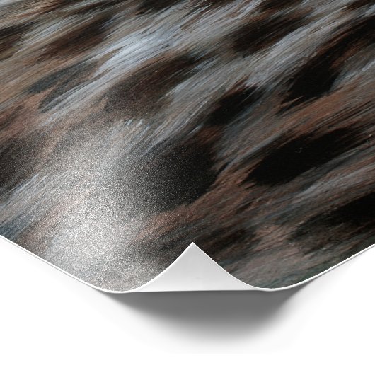 Poster Baby Cheetah (Hoek)