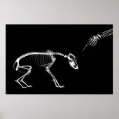 Poster - Bad Dog Xray Skeleton Black White (Voorkant)