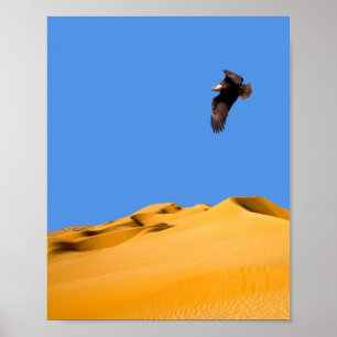 Poster Bald Eagle