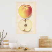  Poster Banana Apple (Keuken)