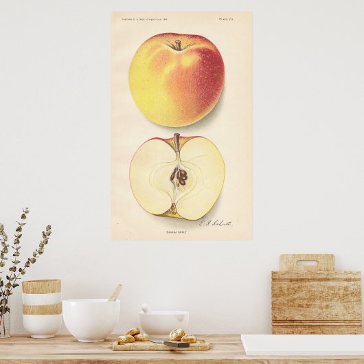 Poster Banana Apple (Keuken)