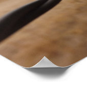 Poster Barb Wire Fence (Hoek)