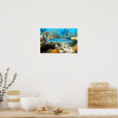 Poster BARRACUDA (Keuken)