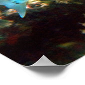 Poster BARRACUDA (Hoek)