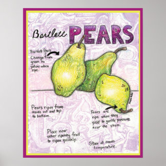 Poster Bartlett Pears