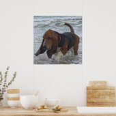 Poster Basset Hondon op het Zee (Keuken)