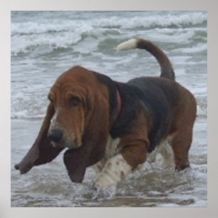 Poster Basset Hondon op het Zee
