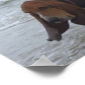 Poster Basset Hound Aan De Zee (Hoek)