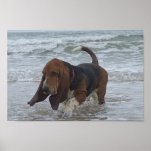 Poster Basset Hound Aan De Zee