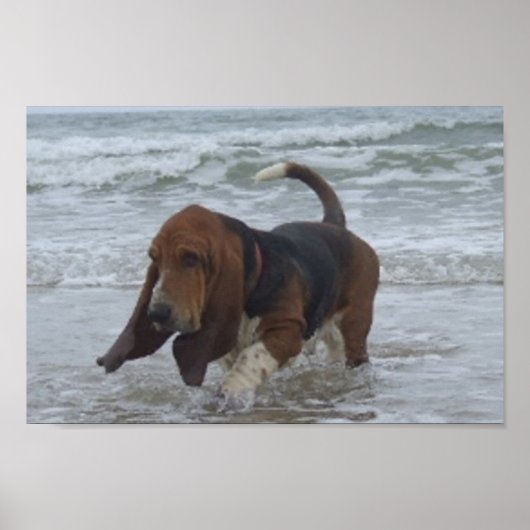 Poster Basset Hound Aan De Zee (Voorkant)