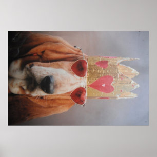 Poster Basset Hound Koning